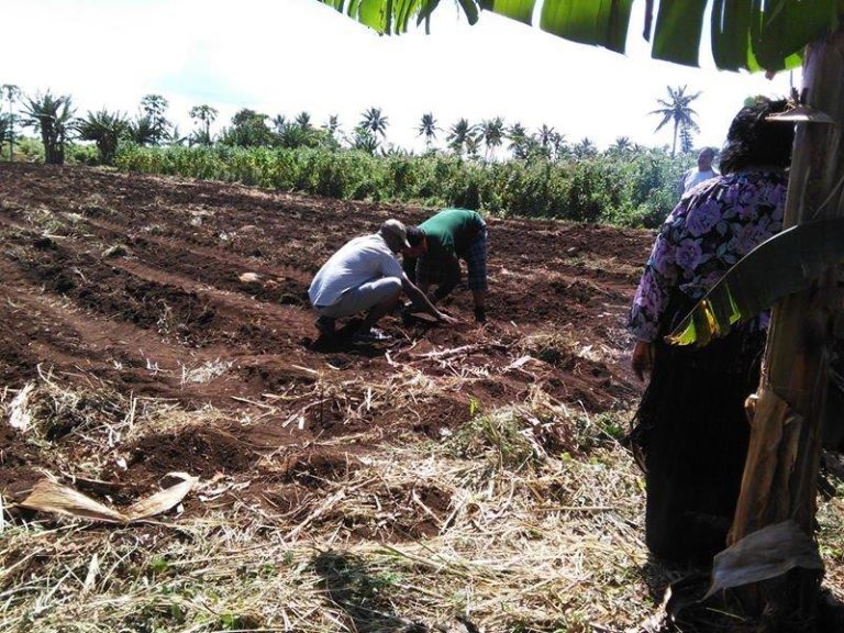 Growers Federation of Tonga Inc. Pacific Farmer Organisations