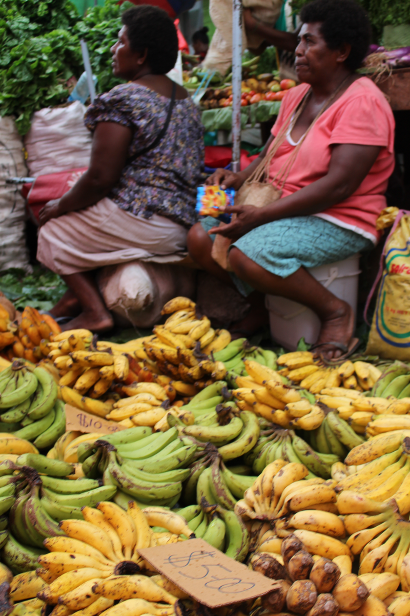 Kastom Gaden Association - Pacific Farmer Organisations