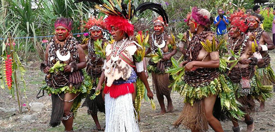 Papua New Guinea Youth in Agriculture Forum - Pacific Farmer Organisations