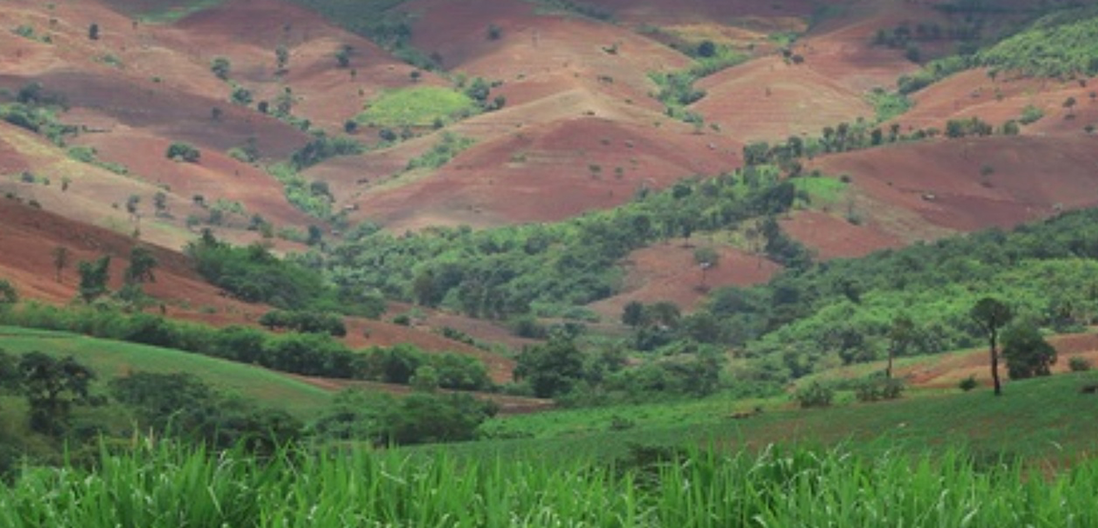 Role Of Agricultural Practices In Soil Degradation