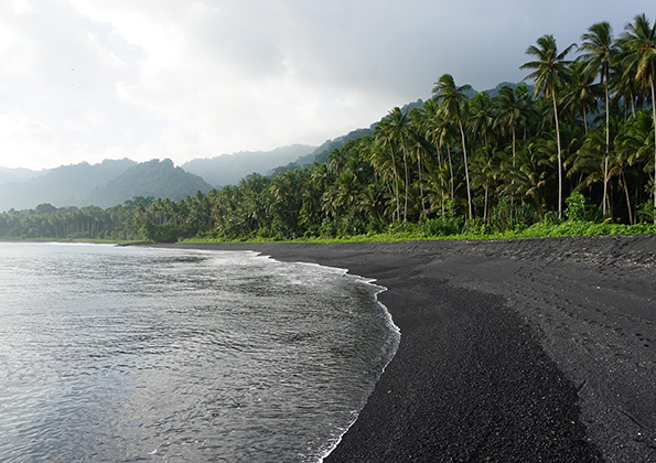 Pacific Farmers Have Their Say: Land Will Become Scarce - Pacific ...